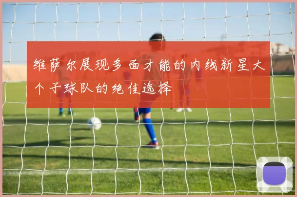 维萨尔展现多面才能的内线新星大个子球队的绝佳选择