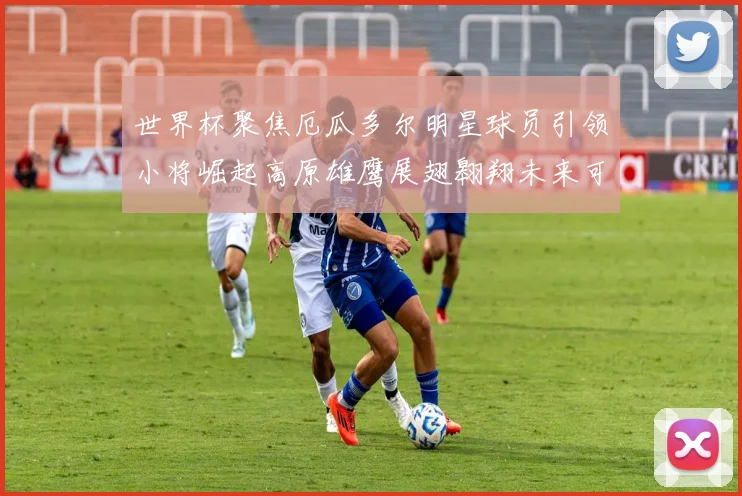世界杯聚焦厄瓜多尔明星球员引领小将崛起高原雄鹰展翅翱翔未来可期